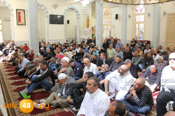 suliman h33jq (3).JPG